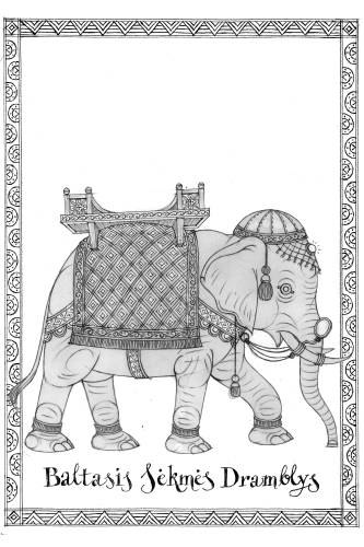 Baltasis Dramblys, © Kęstutis Kasparavičius