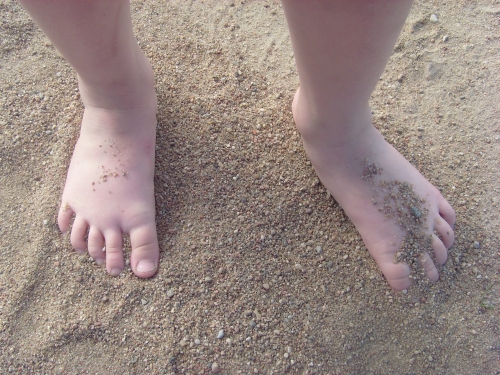 Basakojė vasarėlė. Nuotr. G. Mankevičiūtės